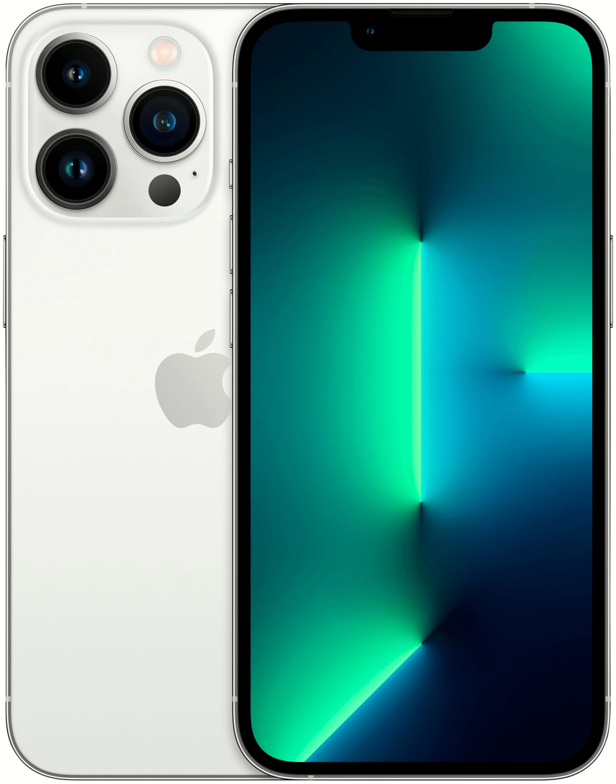 iPhone 13 Pro 1 Тб Серебристый