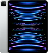 iPad Pro 11'' (2022) 256 Гб